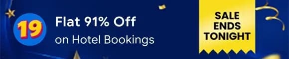 19th Birthday Travel Sale: Get Flat 91% Off