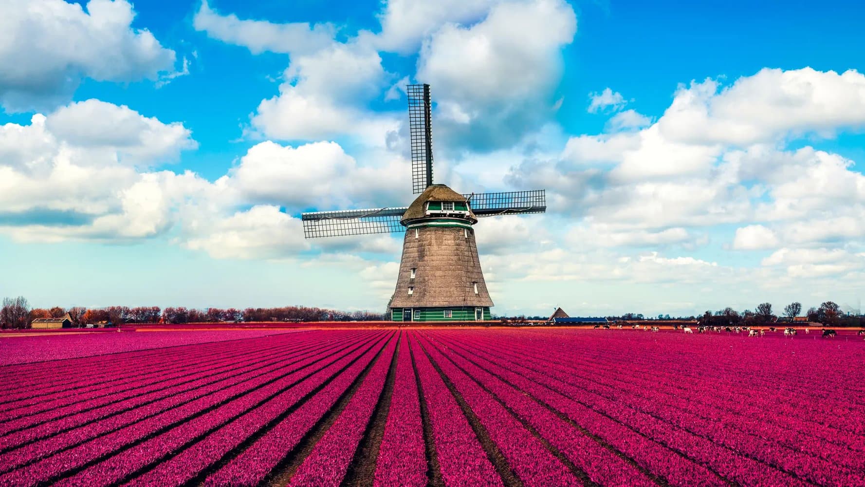 netherlands Image