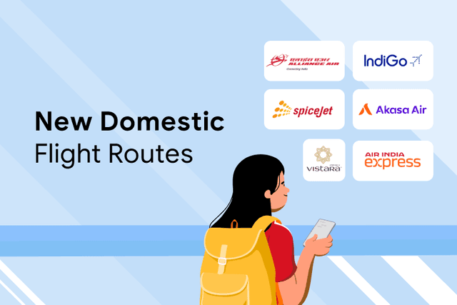New Domestic Routes WEB NEW